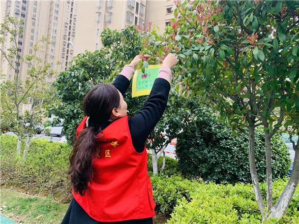 蛇盤社區(qū)黨總支: 愛綠護(hù)綠志愿行